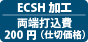 ECSHH [ō 200~ (d؉i)