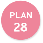 PLAN28