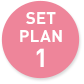 SETPLAN1